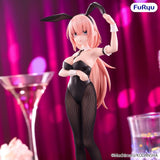 Even the Student Council Has Its Holes! - BiCute Bunnies - Komaro Michinoku